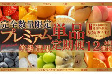 【数量限定！】旬の見極めこの一品！プレミアム等級選果の12ヶ月連続単品定期便♪