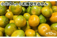 小出さんの小粒極早生みかん　約10kg