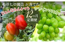 モリヒロ園芸が育てたじょんならんトマトとシャインマスカットの12ヶ月定期便