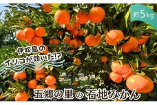 伊吹島のイリコで育てた! 五郷の里の石地みかん 約5kg入り 香川県観音寺市産