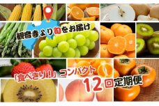 【2025年受付】ご家庭用 食べきり 旬菜旬果フルーツ定期便 全12回 
