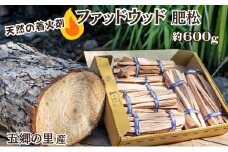 天然★ファッドウッド 肥松 着火剤 約600g入り 五郷の里産