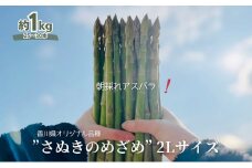 朝採れ アスパラ【さぬきのめざめ】2Lサイズ　約1kg （25～30本）