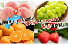 【2025年受付】ご家庭用 食べきり 旬果フルーツ定期便 全4回