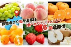 【2025年受付】ご家庭用 食べきり 旬果フルーツ定期便 全6回