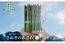 朝採れ アスパラ【さぬきのめざめ】春芽 2Lサイズ　約1kg （25～30本）