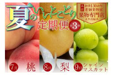 夏のいいとこどり定期便【全3回】 果物 フルーツ デザート 食後 桃 梨 シャインマスカット ぶどう 夏のフルーツ 夏の果物