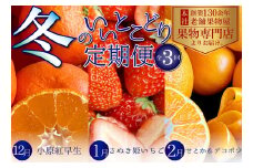 冬のいいとこどり定期便【全3回】 果物 フルーツ デザート 食後 冬のフルーツ 冬の果物 小原紅早生 さぬき姫 いちご せとか デコポン 冬の味覚