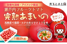 井下とまと園の完熟 フルーツトマト 約2kg 果物類 野菜 