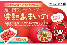 井下とまと園の完熟 フルーツトマト 約3kg 果物類 野菜 