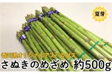 香川県オリジナルアスパラガス「さぬきのめざめ」(夏芽) 約500g アスパラガス 野菜