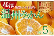 【2025年11月上旬より順次発送】極撰！温州みかん 約5kg 果物 柑橘 フルーツ 程よい酸味 ジューシー 甘い 国産 日本産 冬の味覚 冬の果物 冬のフルーツ 