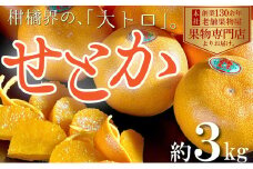【2026年2月上旬より順次発送】柑橘界の大トロ！せとか　約3kg 果物 フルーツ 国産 日本産 冬の味覚 冬の果物 冬のフルーツ 観音寺市産 