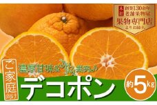 ご家庭用！「デコポン」約5kg フルーツ デザート 甘い 果物類 みかん 柑橘類 手で剥ける 果皮 甘味 果肉 肉厚 ジューシー 専門店 美味しい