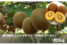 香川県オリジナルキウイ「さぬきゴールド」約3kg 果物詰合せ フルーツ 果物 詰合せ セット 
