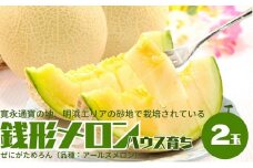 温室メロン（銭形メロン）2玉入り 果物 メロン青肉 フルーツ 温室育ち アールスメロン おやつ デザート 食後 国産 香川県産 観音寺市産 