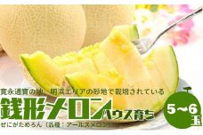温室メロン（銭形メロン）5～6玉入り 果物 メロン青肉 フルーツ 温室育ち アールスメロン おやつ デザート 食後 国産 香川県産 観音寺市産 