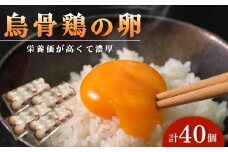 烏骨鶏卵 (烏骨鶏) 40個セット【卵 たまご 烏骨鶏 うこっけい 卵焼き ゆで卵 卵かけご飯 香川県 さぬき市】