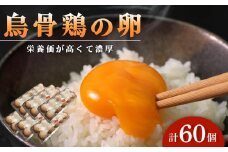 烏骨鶏卵 60個セット【卵 たまご 烏骨鶏 うこっけい 卵焼き ゆで卵 卵かけご飯 香川県 さぬき市】