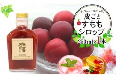 皮ごとすももシロップ 1本 (250ml)【フルーツ シロップ すもも スモモ 香川県 さぬき市】