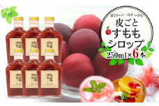 皮ごとすももシロップ 6本（250ml×6）【フルーツ シロップ すもも スモモ 香川県 さぬき市】