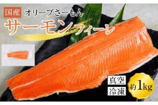 サーモン 冷凍 フィーレ 1kg 生食用 産地直送 小分け サケ 鮭【切り身 生食 お刺し身 刺身 カルパッチョ 造り 魚介 国産 香川県 讃岐 さぬき】