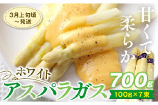 期間限定 ホワイトアスパラガス 700g
