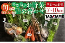 特別栽培 旬の採れたて お野菜 7～10種類詰め合わせセット TAGATAME タガタメ【野菜 特別栽培 有機野菜 農薬不使用 無農薬】