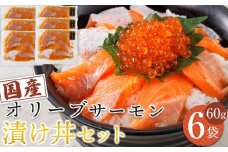 オリーブサーモン漬け丼セット 60g×6パック 冷凍【サーモン 漬け 海鮮 丼 漬け丼 国産 香川県 讃岐 さぬき】