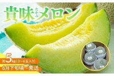 【6月下旬頃～発送】貴味(たかみ)メロン 約5kg