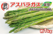 期間限定【訳あり】アスパラガス (さぬきのめざめロング)　夏芽 1kg