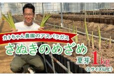 期間限定 アスパラガス (さぬきのめざめ) 夏芽 1kg カトちゃん農園