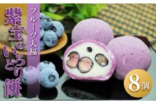 【季節限定】フルーツ大福 紫宝のいろどり餅【ブルーベリー スイーツ お菓子 和菓子 さぬき市 風月堂】