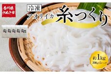 いか糸つくり 1kg 冷凍 小分け【いか イカ イカ刺身 刺身 いかそーめん イカソーメン 香川県 讃岐 さぬき】