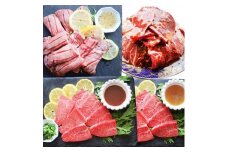 牛ハラミ 牛タン 焼肉 3種 セット 各250g (計750g)