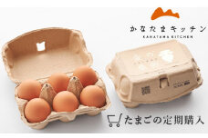 【定期便全6回】卵 金の桑卵 30個(割れ補償3個／卵かけ醤油付き)【 鶏卵 たまご タマゴ 玉子 新鮮 卵かけご飯 たまごかけ醤油セット】