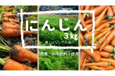 在庫が揃い次第再開させていただきます【農薬・化学肥料不使用】にんじん 3kg 有機緑肥栽培