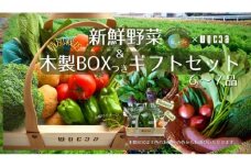 【特別栽培・農家直送】旬のお野菜 詰め合わせギフトセット 6～7品 ウッドBOX付き