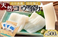 天然コウイカ 約500g いか