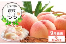 【先行予約】大玉で濃厚な讃岐もも 約3kg 9月出荷 品種おまかせ 【国産もも 桃 白桃 白鳳 あかつき 清水白桃 なつおとめ 川中島白桃 まどか 黄金桃 西大母 飯田桃園 さぬき市】