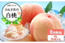 【先行予約】さぬき市の白桃 約2kg 8月発送 品種おまかせ【国産 もも 桃 白桃 白鳳 あかつき 清水白桃 なつおとめ 川中島白桃 まどか 黄金桃 西大母 飯田桃園 さぬき市】
