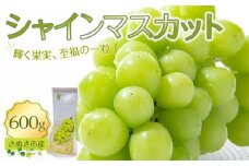 【9月上旬から発送】シャインマスカット 600g【先行予約 朝採り出荷 厳選 シャインマスカット 旬のフルーツ ぶどう 香川県 さぬき市】