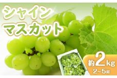 先行予約 シャインマスカット 2kg (2～5房)【葡萄 ぶどう マスカット フルーツ 果物 香川県産 数量限定】