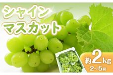 先行予約 シャインマスカット 2kg (2～5房)【葡萄 ぶどう マスカット フルーツ 果物 香川県産 数量限定】