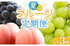 【定期便全3回】夏のフルーツ定期便 (桃 ニューピオーネ シャインマスカット)【もも ぶどう 葡萄 フルーツ 旬 人気 果物 くだもの 香川県】