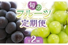 【定期便全2回】旬のフルーツ定期便 (ニューピオーネ シャインマスカット)【葡萄 ぶどう 旬 人気 フルーツ 果物 くだもの 香川県】