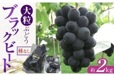 【8月上旬頃～発送】大粒ぶどう ブラックビート 約2kg