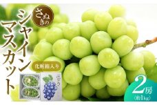 【7月下旬頃～発送】シャインマスカット 約1kg (2房) 化粧箱入り