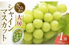 【8月中旬頃～発送】大房シャインマスカット 700g (1房)