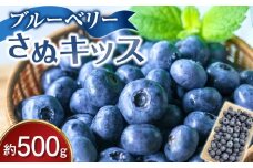ブルーベリー さぬキッス 約500g